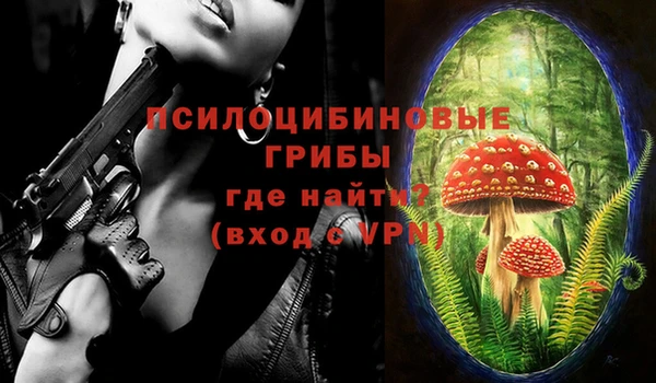 дживик Арсеньев