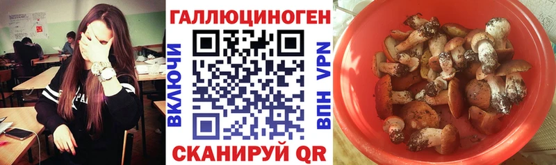 Купить  Светлогорск  Галлюциногенные грибы мухоморы 